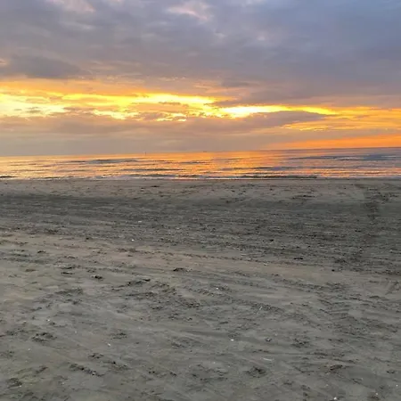 Apartment Zeehalm - 20m From The Beach De Panne